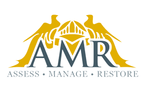 AMR